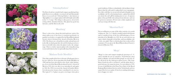Marvelous Mopheads – Schifferbooks