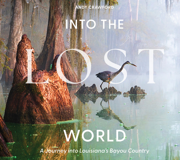 Into the Lost World – Schifferbooks