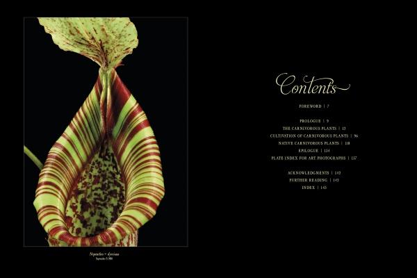The Sinister Beauty of Carnivorous Plants by Matthew M Kaelin