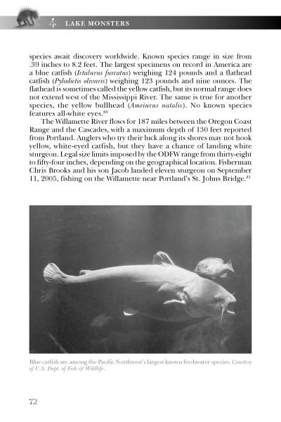 strange monsters and where to find them Strange Monsters of the Pacific Northwest