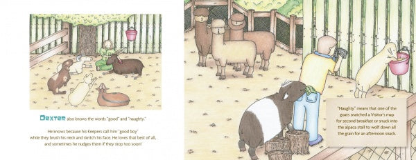 Dexter the Very Good Goat – Schifferbooks