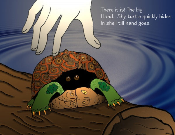 How the Turtle Got Its Shell