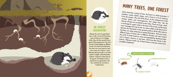 The Forest – Schifferbooks