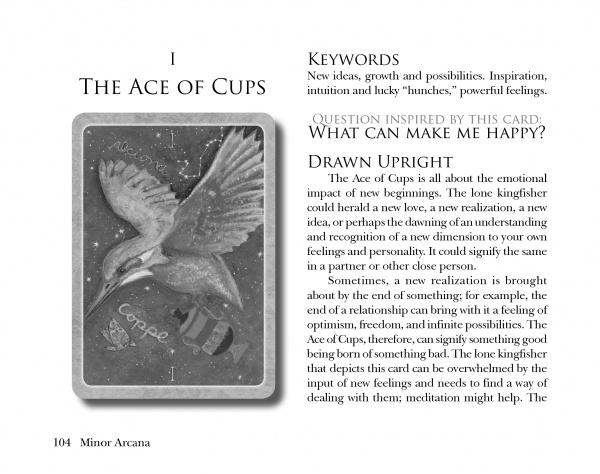 The Secret Language of Birds Tarot – Schifferbooks