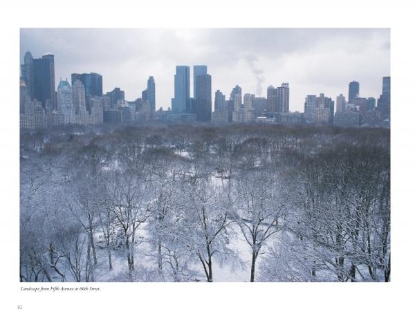 Windows on Central Park – Schifferbooks