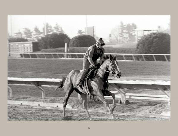 Horse Racing – Schifferbooks