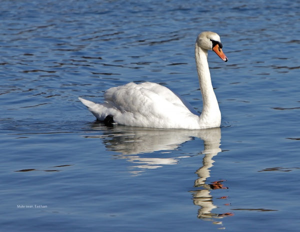 Cape Cod National Seashore: The Complete Guide