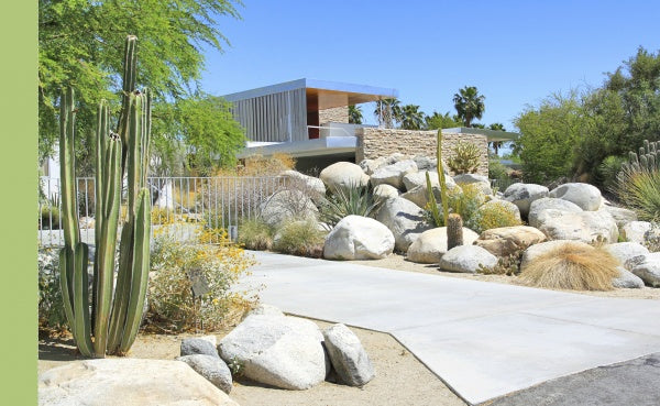 Palm Springs – Schifferbooks