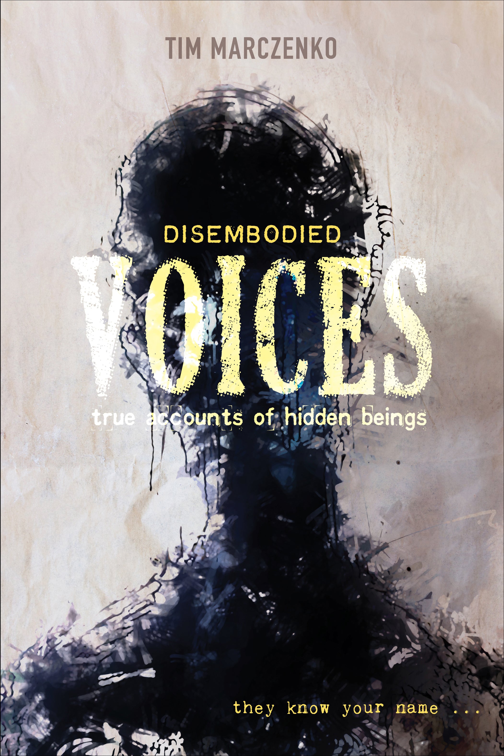 Disembodied Voices – Schifferbooks