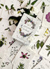 The book "Listening to Flowers" by Schiffer Publishing, Ltd. rests on illustrated flower cards featuring botanical drawings and Bach flower essence insights, surrounded by white blooms and greenery.