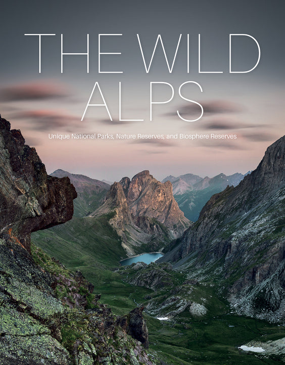 新品未開封 Alps Cru - THE CONCEPT OF ALPS 2CD THE CONCEPT OF ALPS 