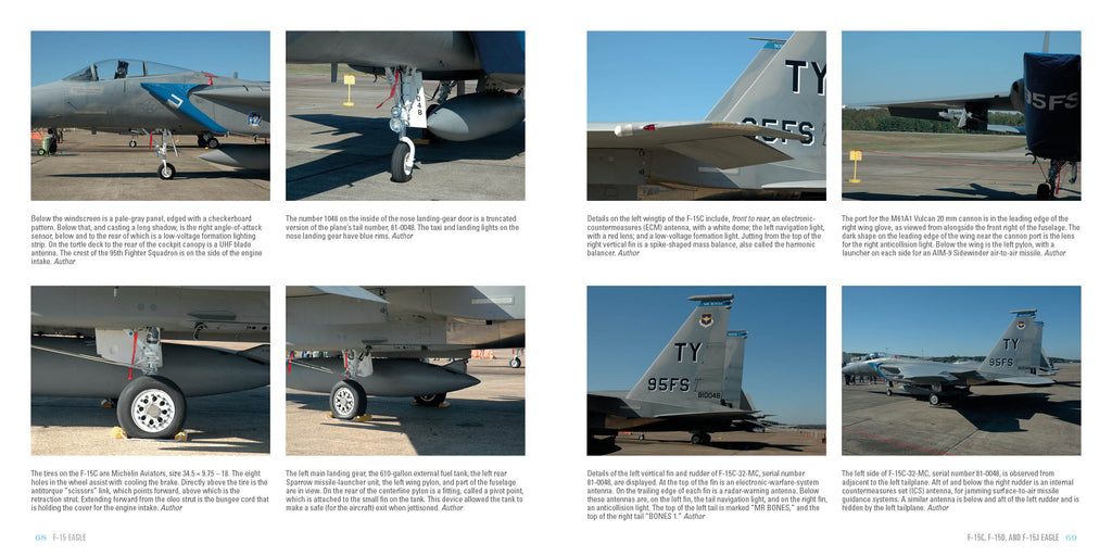 f15 gear F-15 Eagle: McDonnell Douglas Strike Fighter