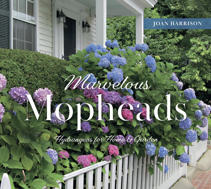 Marvelous Mopheads – Schifferbooks