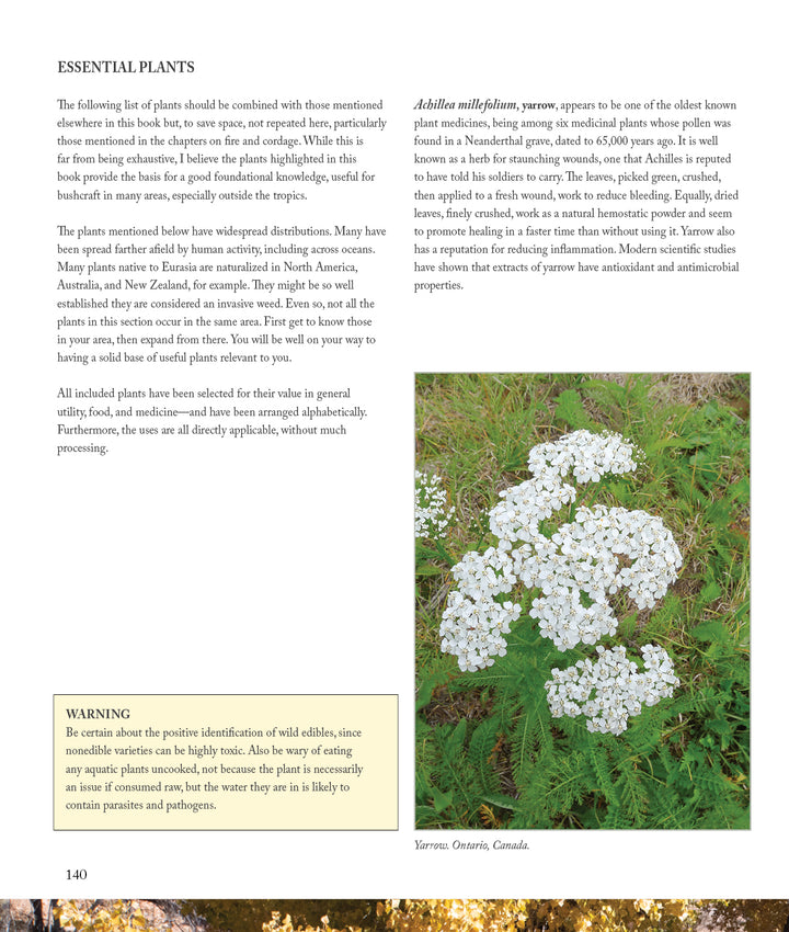 A page from Core Bushcraft by Schiffer Publishing, Ltd. features plant uses, a safety tip box for proper ID, and a photo of yarrow (Achillea millefolium). Covers origins and applications—ideal for wilderness skills and bushcraft.