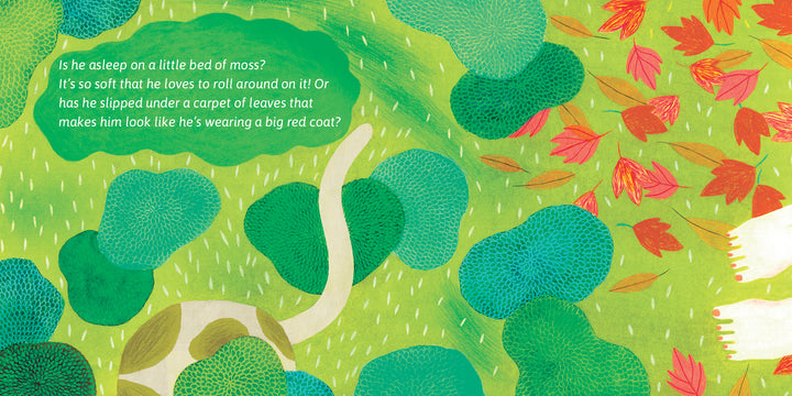 An illustrated green landscape features moss, blue bushes, red autumn leaves, and a winding pale path. White text asks if Frisky Face the Naughty Cat from Schifferbooks sleeps on moss or beneath red coat-like leaves.