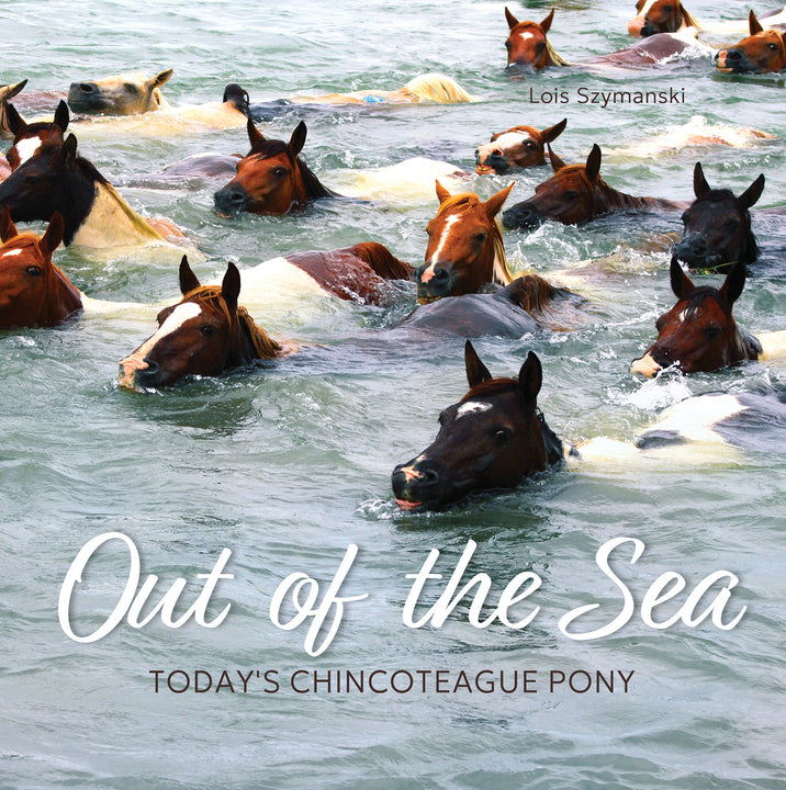 Out of the Sea – Schifferbooks - Main Image
