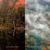 In "Iconic and Hidden Gems of the Appalachian Trail" by Schiffer Publishing, Ltd., a rustic cabin overlooks a tranquil lake amid vivid autumn leaves, while mist drifts over a colorful, forested Appalachian mountainside nearby.