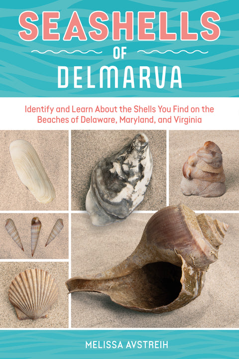 Seashells of Delmarva – Schifferbooks