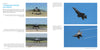 Schiffer Publishing, Ltd.'s F-35 Lightning II two-page spread features five images: three of the modern jet fighter on the runway (front/side views) and two in flight, plus text on its advanced features.