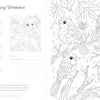 From Schiffer Publishing, Ltd.'s Wild & Whimsical Woodland Coloring Book: a printable worksheet featuring five birds on leafy branches, spaces for swatches and materials, plus a “secret weapons” animal prompt—perfect for forest-themed coloring fun.