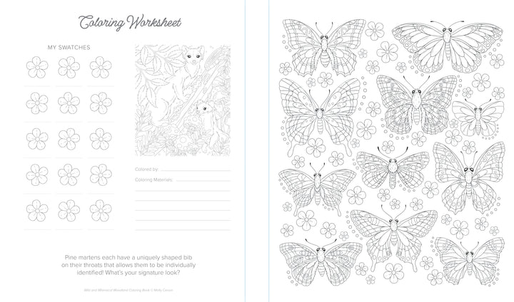 The Wild & Whimsical Woodland Coloring Book by Schiffer Publishing, Ltd. features a worksheet with swatch boxes, room for your name, and a partial butterfly on the left, plus detailed butterflies and flowers to color in a forest-inspired style on the right.
