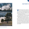 Bison, Yellowstone National Park’s iconic wildlife, cross the Firehole River as geothermal steam and colorful terraces rise behind them under a cloudy sky. Product: Yellowstone National Park by Schiffer Publishing, Ltd.