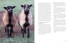 Two black-and-white lambs with curly wool stand on grass, facing the camera. On the right, text highlights Schiffer Publishing, Ltd.'s "Needle Felting Through the Seasons" with project guides and breed details.