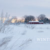 A snow-covered field with dried plants, red barns, and bare trees at sunset inspires needle felting. "WINTER" appears in white text. From Needle Felting Through the Seasons by Schiffer Publishing, Ltd.