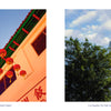 A two-panel image for Los Angeles by Schiffer Publishing, Ltd. shows red lanterns in Chinatown on the left and the Los Angeles City Hall building framed by trees on the right, capturing iconic Los Angeles landmarks.