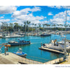 Sailboats and motorboats fill a marina under a blue sky, with a California Yacht Club sign in the foreground, featured in the Los Angeles photo book by Schiffer Publishing, Ltd.