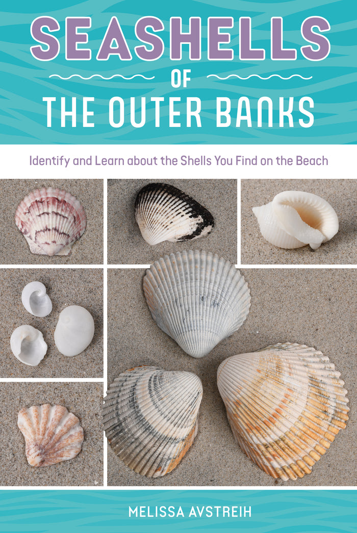 Seashells of the Outer Banks – Schifferbooks