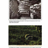 A black-and-white photo of a log cabin interior and a color photo of Ann Rutledge’s grave, featured in Schiffer Publishing, Ltd.'s "Abraham Lincoln," reveal connections to American history.