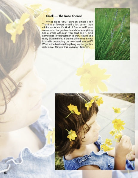 A young child with brown hair in a blue dress holds yellow flowers outdoors. Close-ups of the child and lavender illustrate “Kinder Gardens” by Schiffer Publishing, Ltd.—perfect inspiration for gardening with kids and exploring garden scents.