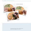 Three photos from "Building Gourd Birdhouses with the Fairy Gourdmother®" by Schiffer Publishing, Ltd. show hands painting leaves, water droplets, and a purple berry on a gourd. The white background provides step-by-step instructions.
