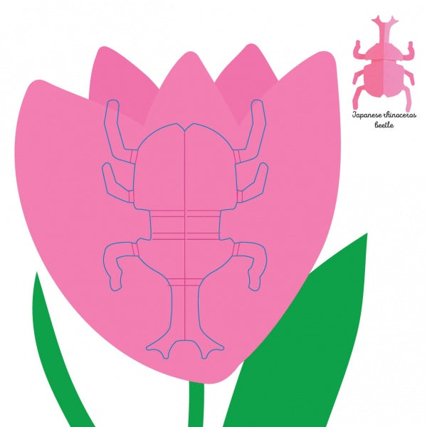 Foldable Insects Insects – Schifferbooks