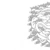 A black-and-white illustration from "Animal Life" by Schiffer Publishing, Ltd. features an octopus with swimming fish in a circular, mandala-like pattern; a sea turtle and description showcase ocean life's beauty.