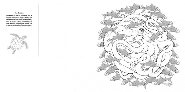 A black-and-white illustration from "Animal Life" by Schiffer Publishing, Ltd. features an octopus with swimming fish in a circular, mandala-like pattern; a sea turtle and description showcase ocean life's beauty.