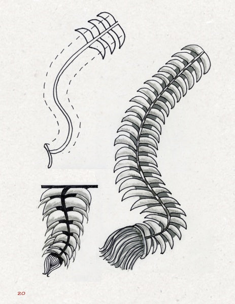 Three black-and-white sketches from Schiffer Publishing, Ltd.’s "Doodling Borders for Wood Burning, Gourds & Drawing" show a segmented fin-like tail with spines and tuft. Pattern drawing techniques add texture in one profile and two angled views.