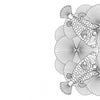 A black-and-white illustration from Schiffer Publishing, Ltd.'s "Animal Life" shows four ornate boxfish arranged symmetrically with fanned fins and tails, plus a small octopus drawing—great for nature coloring book fans.