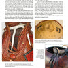 A magazine page features Schiffer Publishing, Ltd.'s "Antler Art for Baskets and Gourds," showcasing decorated rattles and close-ups of gourd attachments with leather, beads, and antler spikes plus step-by-step project instructions.