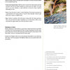 A page from Schiffer Publishing, Ltd.'s "Creating Celebration Quilts" shares quilt-making tips—such as using sheer fabrics for depth and stamping on sheers—plus art of hands reaching from water under a bright sky, all neatly arranged.