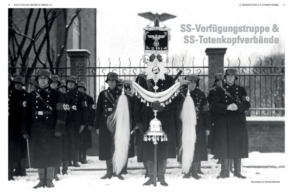 Black and Field Gray Uniforms of Himmler's SS: Allgemeine-SS SS