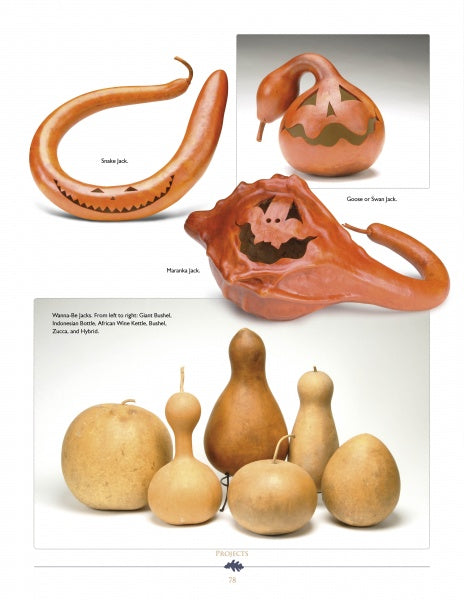 A collage inspired by "Cut-out Gourd Techniques" from Schiffer Publishing, Ltd.: Three top gourds are carved into snake, goose, and monster jack-o-lanterns; below are six uncarved natural gourds of varying shapes and sizes.