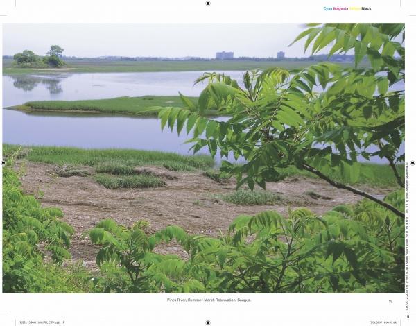 The North Shore Wide by Schiffer Publishing, Ltd. showcases a marshy wetland with calm water, grassy patches, and lush foliage in the foreground, while distant trees and buildings rest under a clear sky.